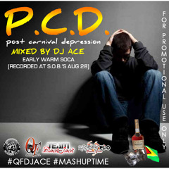 DJ ACE - Post Carnival Depression Vol 1