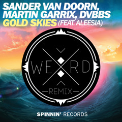 Gold Skies Feat. Aleesia (WERD Remix)