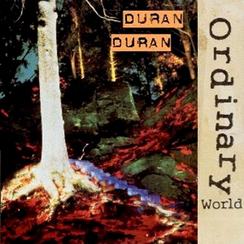 Duran duran ordinary world. ориджинал ворлд дюран-дюран. Duran duran - ordinary world (1993). Duran duran ordinary world ноты для фортепиано. Duran duran ordinary world кадры.