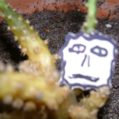 2008and9 was a great years for makin vomit