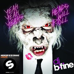 Heads Will Roll (bFine Lunatic Bootleg)
