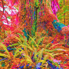 Rapsilocybin - Outhentisch( prod. by Spooky Trade aka Dr. Trade aka Prof. Tradius)