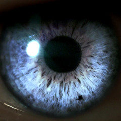 M83 - Midnight City (remix compo) (extrait)