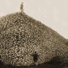 Skull Mountain