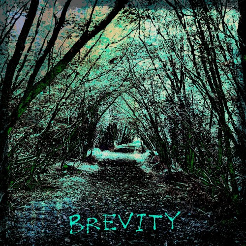 Gibby Stites - Brevity (Prod. MALT D!ZNEY)