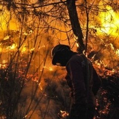 Behind the Catastrophe