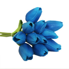 OSA SX - Blaue Tulpen vor Athen