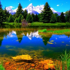 Malayalam Quran 112 الإخلاص Al Ikhlaas SincerityMeccan Translation   Paribhasha)