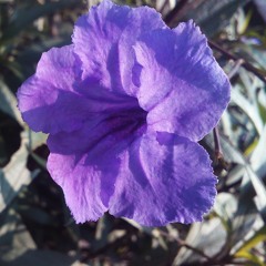 Terlalu lama sendiri cover by Aderia feat Gilar