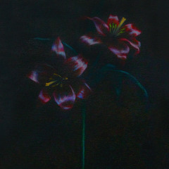 Haft-Gifts (Cocteau Twins cover)