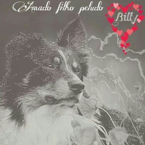 Emoções...tantas com uma criatura q.me faz sorrir todos os dias a 13anos at S.J.B.Vista