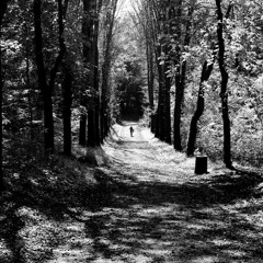 Van Off Martt - JANNMILLKILL