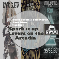 Dave Silcox X David Guetta & Sam Martin X Hardwell - Spark It Up Lovers On The Arcadia(RAYMI MASHUP)
