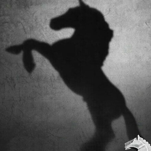 Тень на стене бродский. Игра света и тени. Тень 33. Тень 33. Искусство тени фотографии.