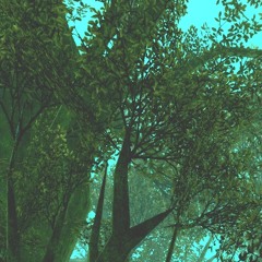 FINAL Fantasy XIV Prerude -Forest Images-