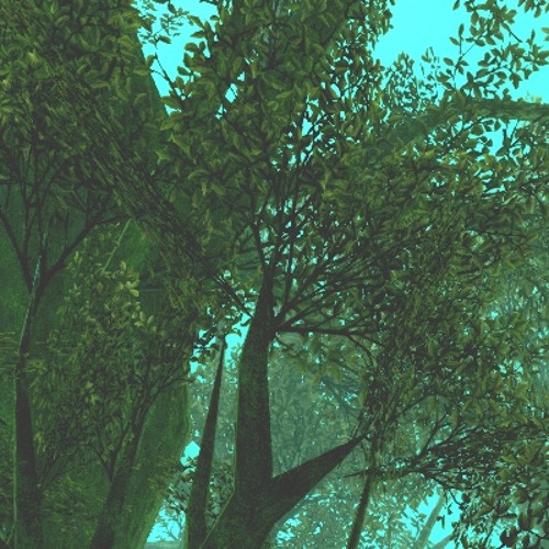FINAL Fantasy XIV Prerude -Forest Images-