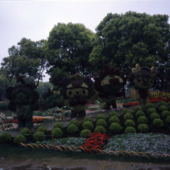 mía
