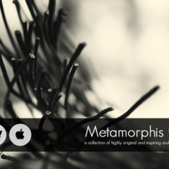Metamorphis Volume 1 - Sample Pack - 513 MB of glitchtastic goodness from Audiomodern