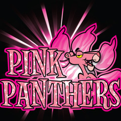 Pink Panthers Junior coed 4 2014