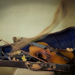 Czrdas violin cover