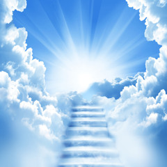 The afterlife