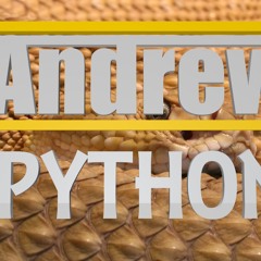 Andrew - Python ( Original mix )