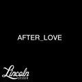 Lincoln&#x20;Jesser After_Love Artwork