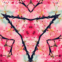 Cameron Alan - Voices [FREE] [Trap and Bass Premiere]