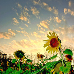 ခ်စ္သူ႕လက္ေဆာင္ ♫ 19:18