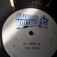 Hazardous Voltages #3. All Tracks by 'King Mental. PM me for Vinyl 12" in UK