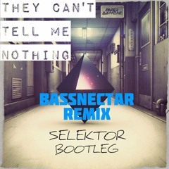 Paper Diamond - They Can't Tell Me Nothing (Bassnectar Remix) [Selektor Bootleg]