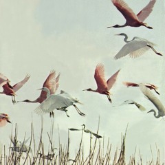 Alina Botei- A blues