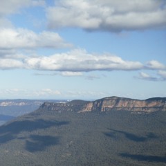 Alive, alike, alight