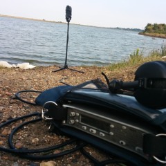 Water Lapping Shore At Cliffe Pools - Mid/Side Test
