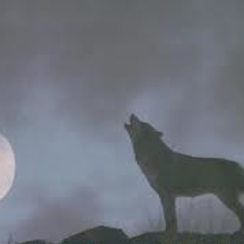 ahmet şafak-unut onu gönlüm.*