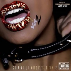 Nobody's Bitch Volume 2