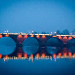 White Dots On Purple