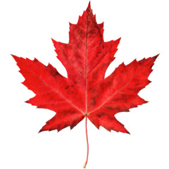 O CANADA (Just me playing O Canada on Guitar, nothing special)