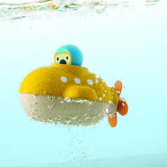 Bird on a Submarine