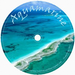 Aquamarine (Perry Zulu Vocals)