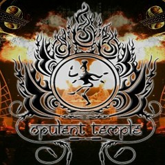 Loomer @ Opulent Temple (Burning Man 2014 - Closing Set)