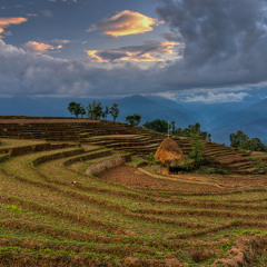 Nepali songs