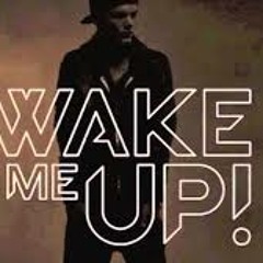 Avicii & Leo Avila - Wake Me Up