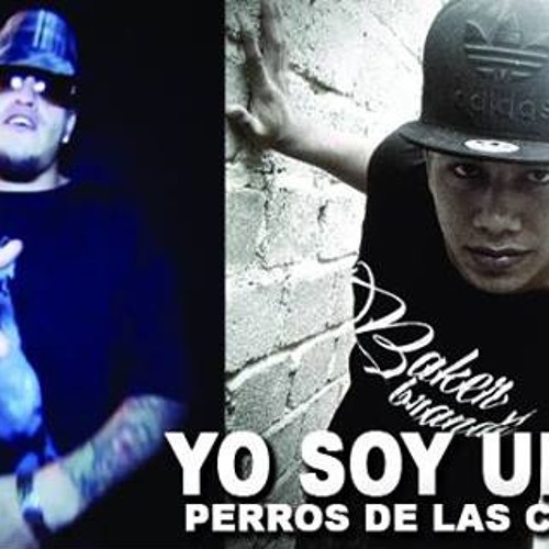 Stream Perros De Las Calles Underground FT Reyes lokos by Versos