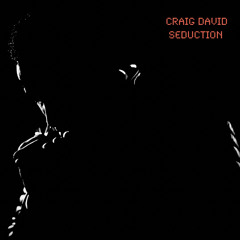 Craig David - Seduction