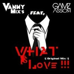 Vanny Mix's Ft. Gamz Assor - WHAT It's Love !!! [Original Mix]
