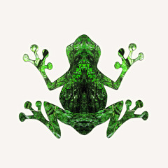 Frog Prog - Afrika