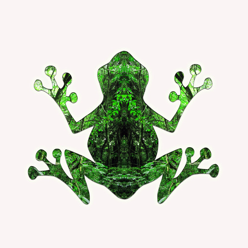 Frog Prog - Afrika