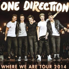 One Direction - 'Where We Are' Concert Film Trailer