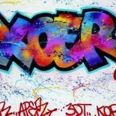 CANDIDAT LIBRE VOL 1